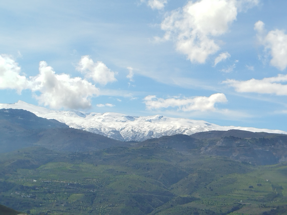 IMG 20250421 110651