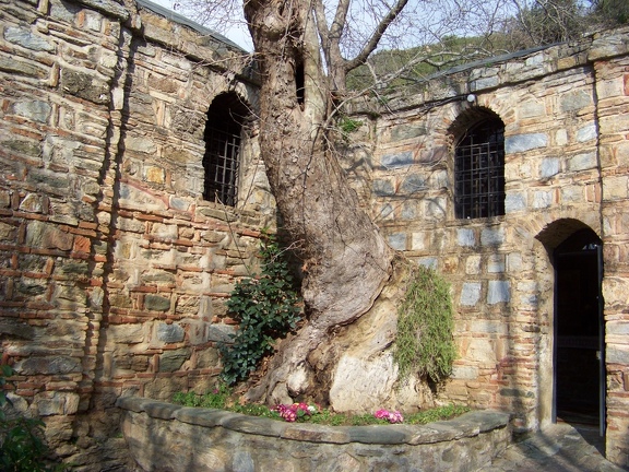 2011-03-07 Éphèse-39