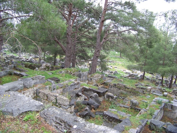 2011-03-08 Milet-Pergame-05