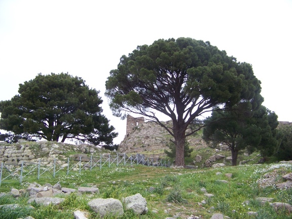 2011-03-08 Milet-Pergame-34